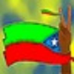 WD_Baloch's profile picture. 