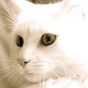 Adela Crespo - @CrespoAdela - Twitter