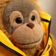 HPSYAKOEBI's profile picture. 