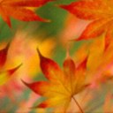 Steve Hines - @mdeans1970 - Twitter