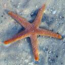 BOBBIE BARKER ULMER - @blulmer - Twitter