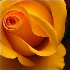 Coffee_uae's profile picture. 