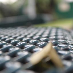 msong19's profile picture. 