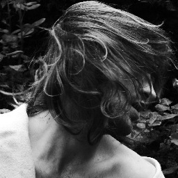 jakealexpasko's profile picture. 