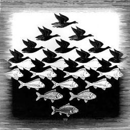 chewezzz's profile picture. #slapen