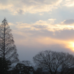 ruish77's profile picture. 舞台、フィギュアスケート、ドラマ、映画、勝ったら嬉しいくらいの阪神ファン。
小栗旬　羽生結弦選手　坂本花織選手　を応援しています。
 team OGR  Twitter