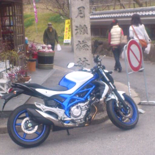 anijajina's profile picture. 二輪,Dragons,frontale,オードリー,ANN,ラジオ,和菓子,ボドゲ。育児たのしい