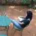 Priya Jhavar (@priyajhavar) Twitter profile photo
