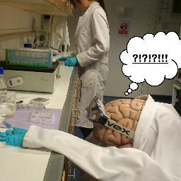 MaynoothNeuro's profile picture. NUIM's neuroscience postgraduate community (research groups of Drs Richard Roche & Sean Commins). Managed by Francesca Farina, Elizabeth Walshe & Kate Forte.