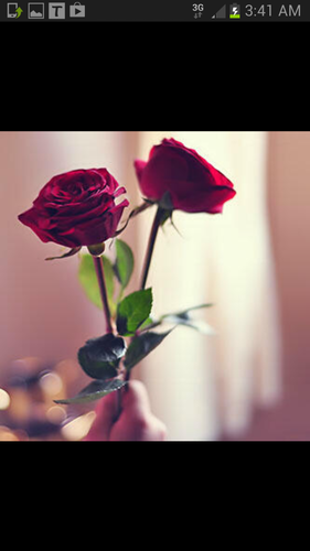 ‏‏‏ الريااااض.