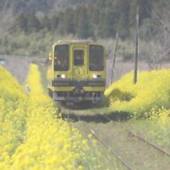 a5efb64's profile picture. こんにちは、アプリや電子書籍などの開発を仕事でしてるものです。最新情報やつぶやくなど行っていきます。
相互フォローなどもおこなっていますのでよろしくお願いします。#相互フォローの輪 #リフォロー #フォロミー