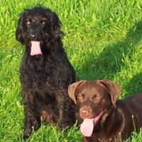 Dave Cobb (@davecobb21) 's Twitter Profile