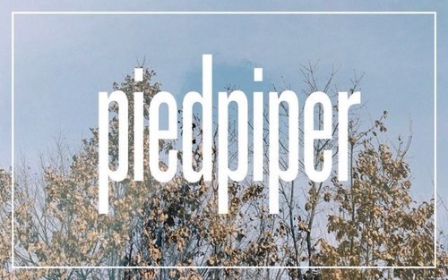 piedpiper_kr's profile picture. 파이드파이퍼