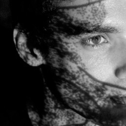 Tom Evans is an artist and lecturer living in Bristol.