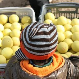 東京都世田谷区のソフトテニスクラブです。毎週日曜日・祭日の午前9時から午後1時まで（午後4時まで延長の場合も！）、区立烏山中学校のテニスコートで活動中。小学生から70代の方までが元気に活動しています。無料体験もありますので、興味のある方はぜひぜひご連絡ください！