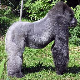 KS_BBTaeil's profile picture. @KPOPSTARcrew. ZETANZ BROTHAH w/ @KS_NUESTBaekho #BlockBFam fr @BlockBusterFam . haters? there's unfollow button :p