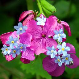 teknikservis6's profile picture. 