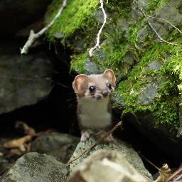 それなりに色々やってます。レベルはお察し 例：ボルダリング、登山、テニス、カメラ、ダイビング、燻製、キャンプ、電子工作。学生時代からやってたプログラムが生業。 言語はC/C++/C#,少しのJAVAとぎりぎりのアセンブリ。