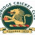 Aldridge CC Youth (@aldridge_youth) Twitter profile photo