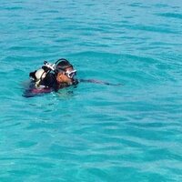 Scuba JD (@res_ipsa_loq1) 's Twitter Profile