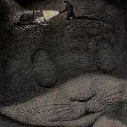 michoello's profile picture. 