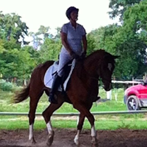 I am German and have a Ph.D. in Biomedical Sciences. I am a Christian and married to the love of my life. I ride my leased horse, Tory, a Dutch warmbl.