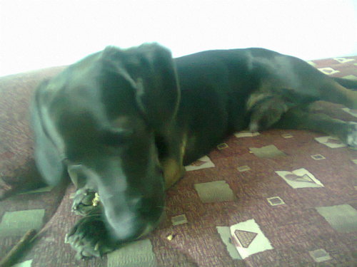 WalKlara's profile picture. :D