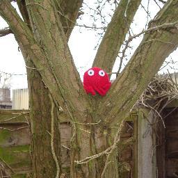 I am Cactipus. I like exploring but I don't like vacuum cleaners.