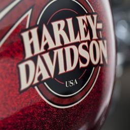 njfischer's profile picture. 