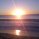 Francesca Griffiths - @Fran_Griffiths - Twitter