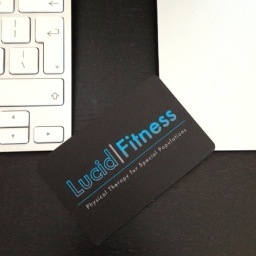 Supplier of Physical Therapy for Special Populations.