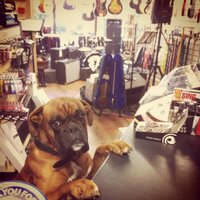 Steel Town Music (@steeltownmusic) 's Twitter Profile