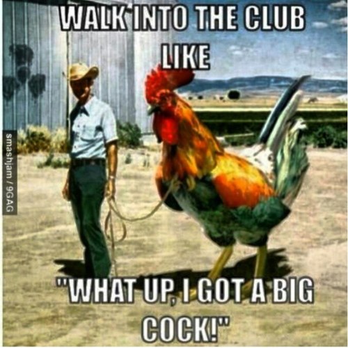 JumpInALake's profile picture. Music enthusiast, converstation enthusiast, enjoys escapades, and lakes. Can tightrope walk, laugh really loud and hold my breath for 30 seconds.