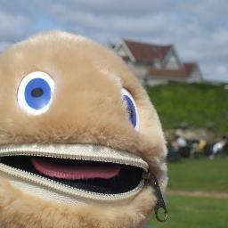 scaddingk's profile picture. ebay seller,  game collector!