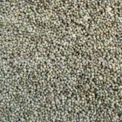 We pick the finest seeds for you and make sure to provide you with all crucial gear and growing tips for your success !