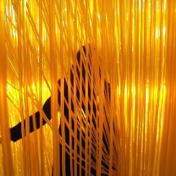 BenJbReid's profile picture. 