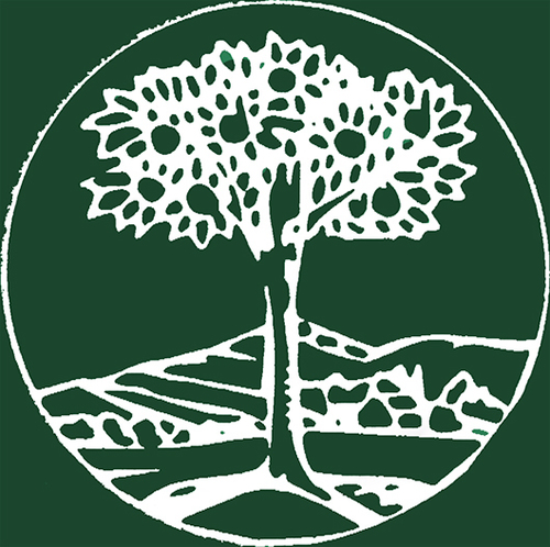 Formazione scolastica e universitaria