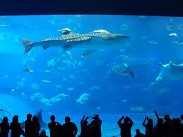 goo_rt4l's profile picture. 人がスキ。服がスキ。ダンスがスキ。HIPHOP、R、Bがスキ。ドライブがスキ。仕事頑張りつつ、夢に向かって奮闘中です！