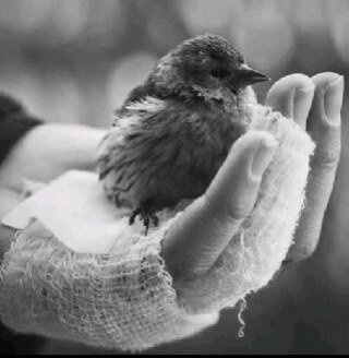 moooonaaa6890's profile picture. 