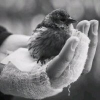 مُنى (@moooonaaa6890) 's Twitter Profile Photo