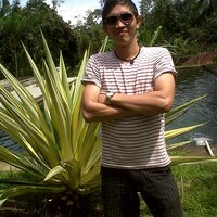 allen_wakkary (@allenwakkary) 's Twitter Profile
