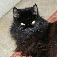 JMLevinton (@jmlevinton) 's Twitter Profile