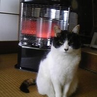 阿部次郎 (@arajin_jiro3) 's Twitter Profile Photo