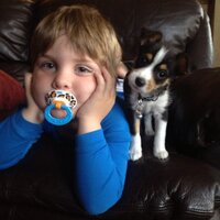 Arkvader (@arkvader) 's Twitter Profile