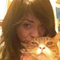 Gia Gutierrez (@giasyellow) 's Twitter Profile Photo