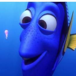 Oi, eu sou a Dory! Muitos confundem meu nome com uma marca de Refrigerante...eu já falei oi? - I'm a fan'