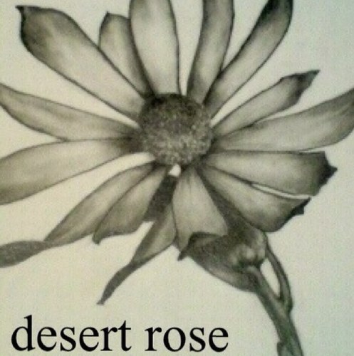 alfa818's profile picture. desert rose 

Instrumental music and 80's sound sorce instruments 

Album
1st logic instruments
2nd maschin instruments
3rd alfa letro