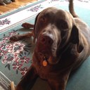 Wayne Mackey - @wmackey55 - Twitter