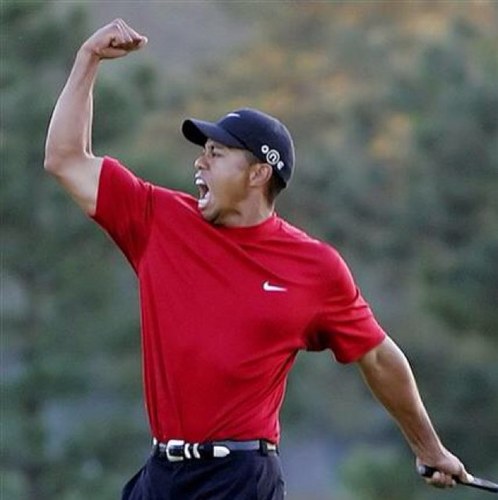 We are a unique,dynamic,sports betting company,offering the best value tips and advice on betting and winning in sport. We specialise in football,tennis&golf.