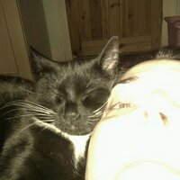 Sonia (@vextal) 's Twitter Profile